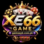 XE66 Game